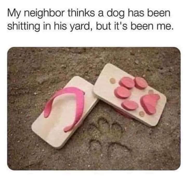 My neighbor thinks a dog has been shitting in his yard but its been me