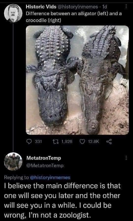 Historic Vids historyinmemes 1d Difference between an alligator Ieft and a crocodile right Qa3 198 Q 28K 4 MetatronTemp s vetatonTemp Replying to historyinmemes IV ETEVER G TR Tl Ne 3 TT IR R iy Fo 1 one will see you later and the other will see you in a while could be Tt M N Ry Tl Wde ol o1 114 PM 01 Oct 22 Twitter Web App