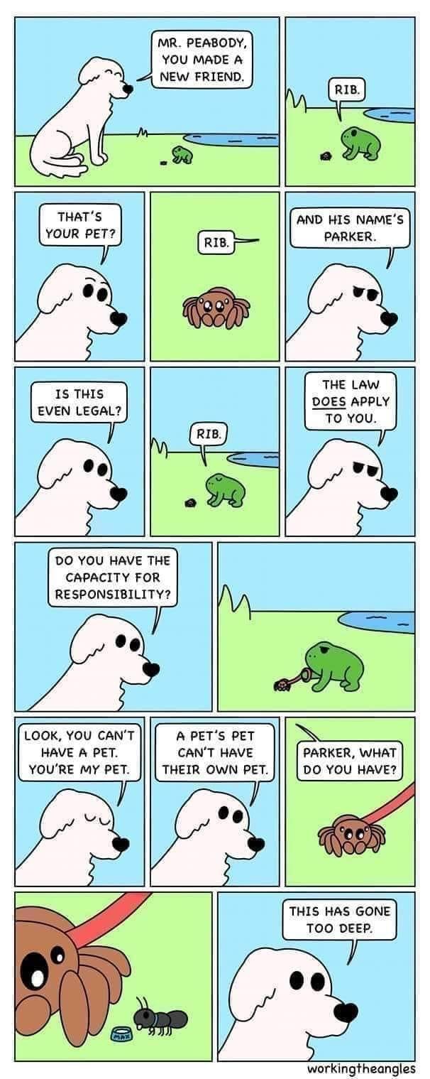 MR PEABODY YOU MADE A NEW FRIEND THATS YOUR PET THE LAW DOES APPLY T0 You DO YOU HAVE THE CAPACITY FOR RESPONSIBILITY LOOK YOU CANT HAVE A PET YOURE MY PET A PETS PET CANT HAVE THEIR OWN PET PARKER WHAT DO YOU HAVE THIS HAS GONE TOO DEEP workingTheangles