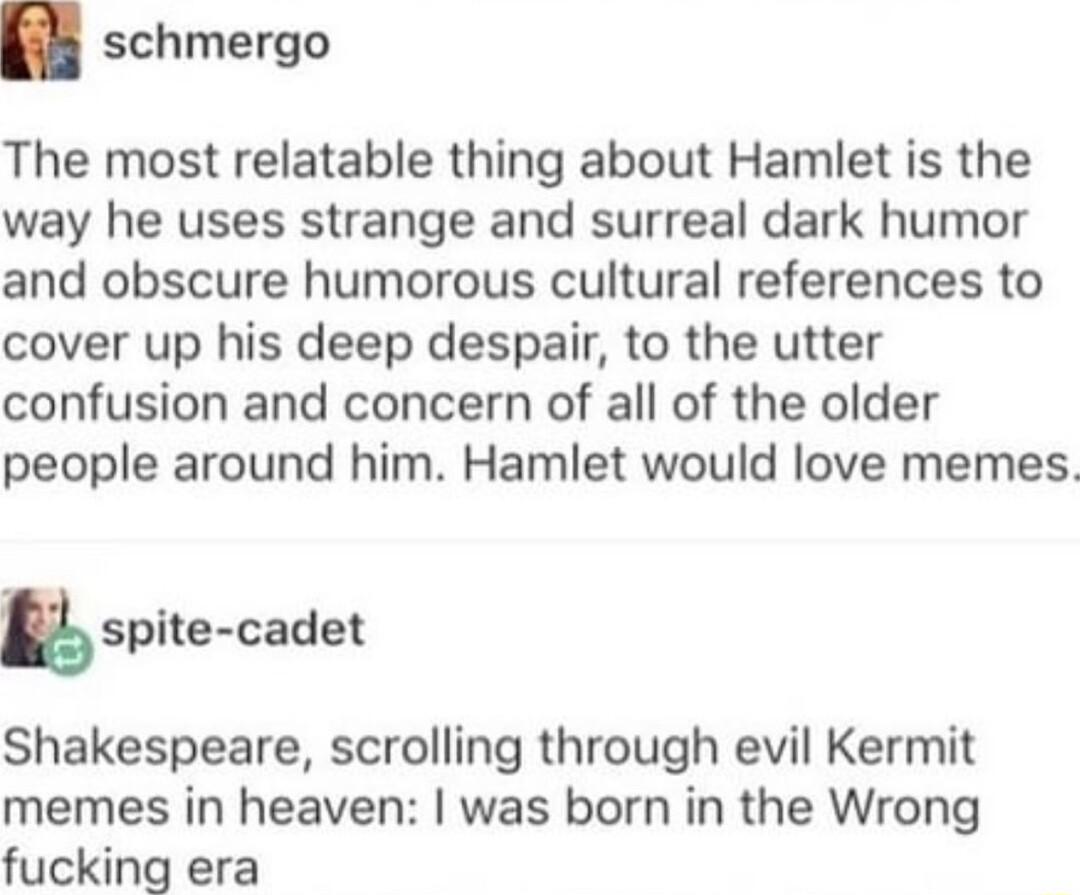 schmergo The most relatable thing about Hamlet is the way he uses strange and surreal dark humor and obscure humorous cultural references to cover up his deep despair to the utter confusion and concern of all of the older people around him Hamlet would love memes spite cadet Shakespeare scrolling through evil Kermit memes in heaven was born in the Wrong fucking era