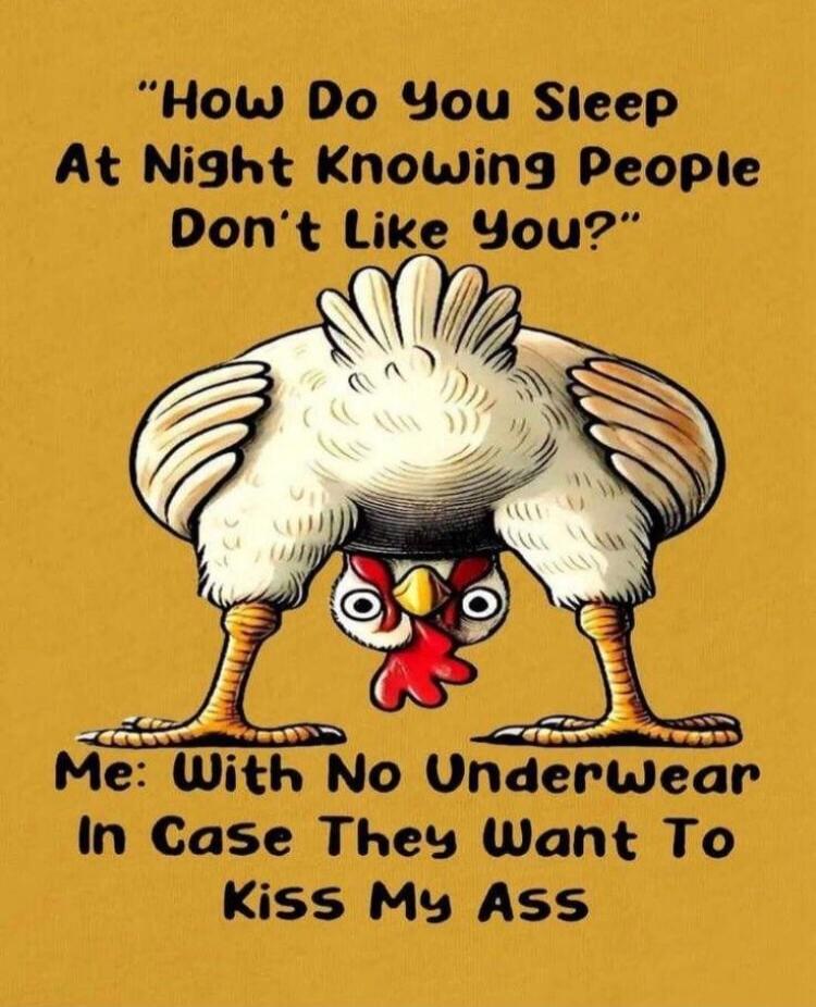 How Do You Sleep At Night Knowing People Don't Like You? Me: With No Underwear In Case They Want To Kiss My Ass
