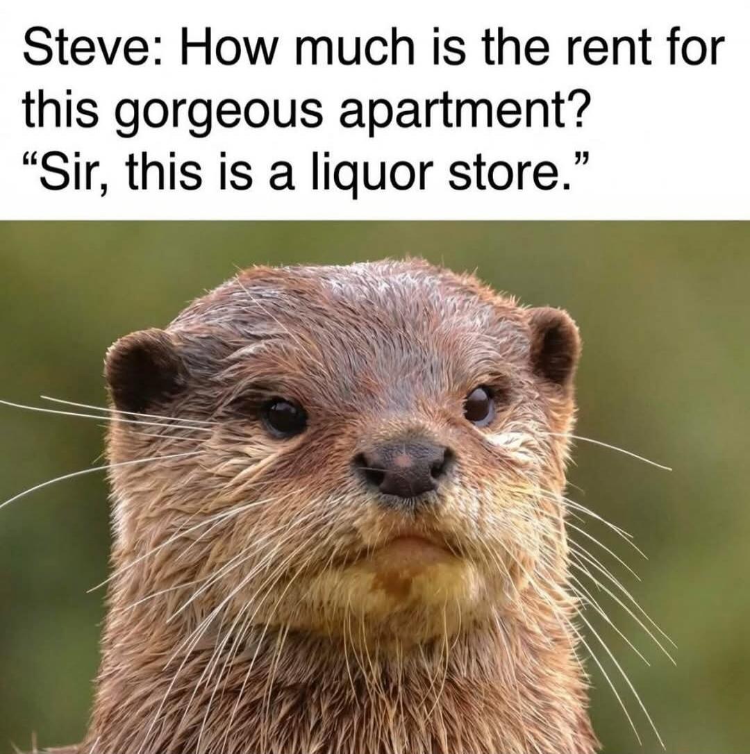 Steve: How much is the rent for this gorgeous apartment? “Sir, this is a liquor store.”