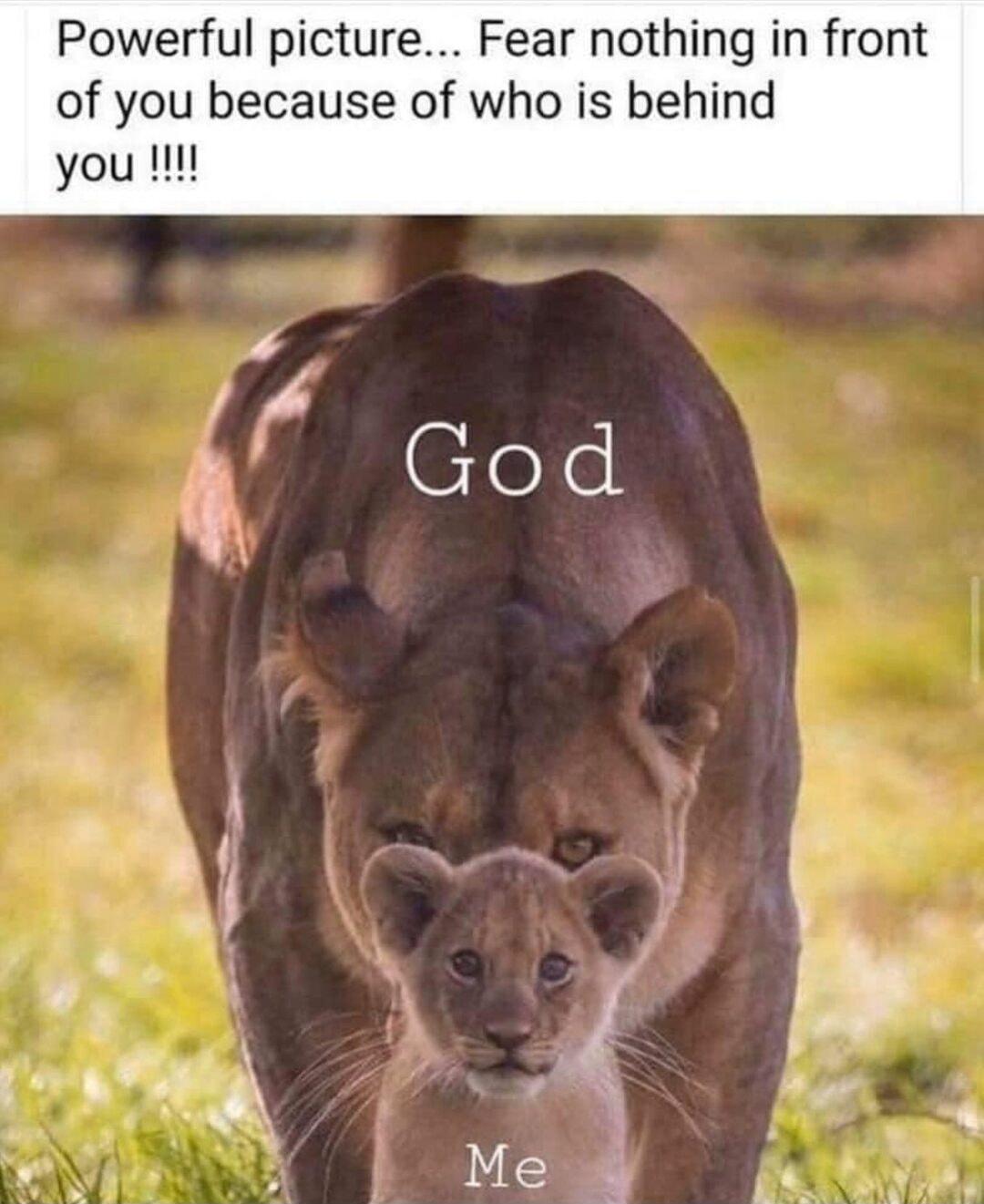 Powerful picture Fear nothing in front of you because of who is behind you