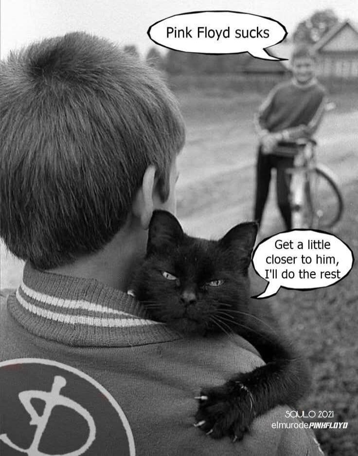 Pink Floyd sucks. Get a little closer to him, I'll do the rest. SOULO 2021 elmurodePINKFLOYD