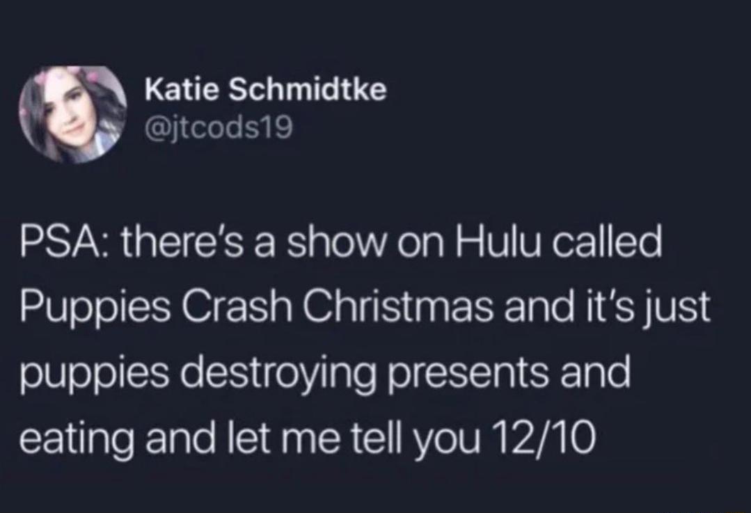 Katie Schmidtke jtcods19 PSA theres a show on Hulu called Puppies Crash Christmas and its just oleolciYe SN 1 0 ale FolNITaI F10T0 eating and let me tell you 1210