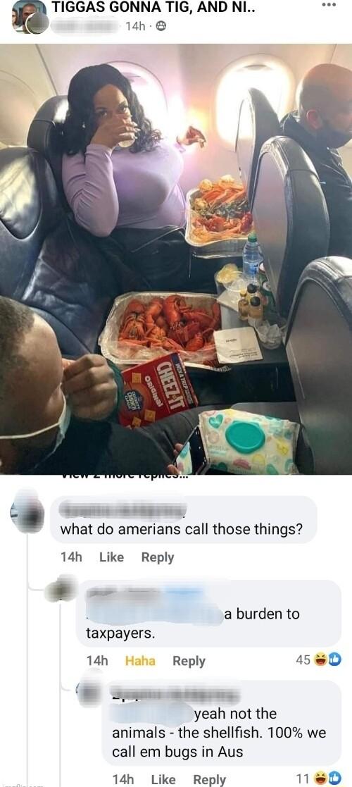 TIGGAS GONNA TIG AND NI 14h A L Sumitiee SilBrorn what do amerians call those things 14h Like Reply a burden to taxpayers 14h Reply 45 D S yeah not the animals the shellfish 100 we call em bugs in Aus 14h Like Reply