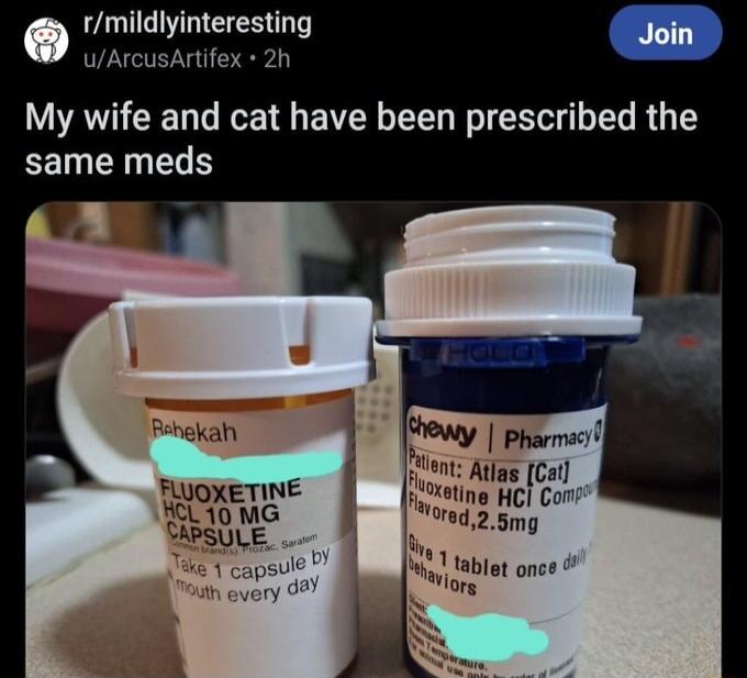 rmildlyinteresting My wife and cat have been prescribed the EEEINEL