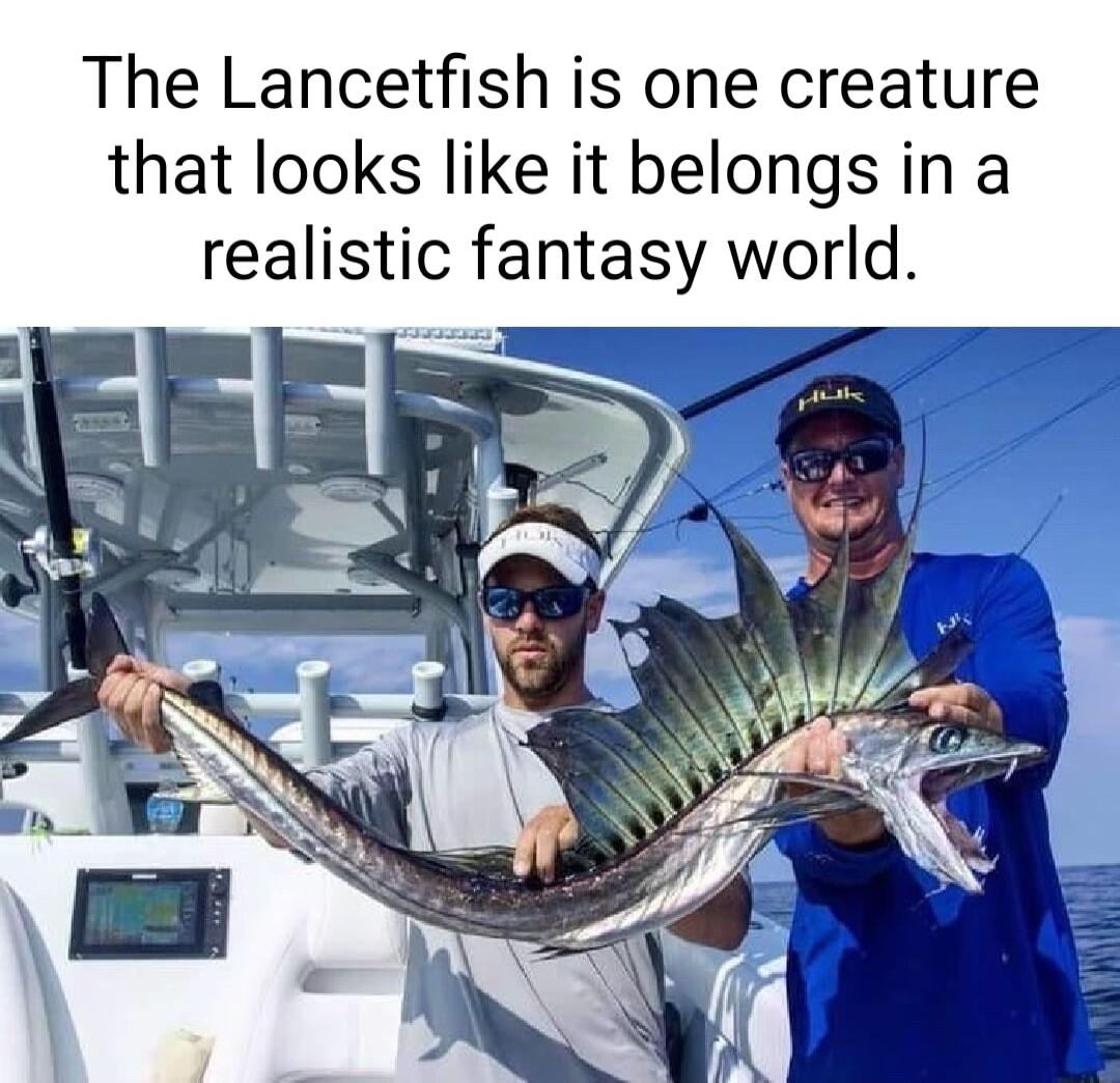 The Lancetfish is one creature that looks like it belongs in a realistic fantasy world