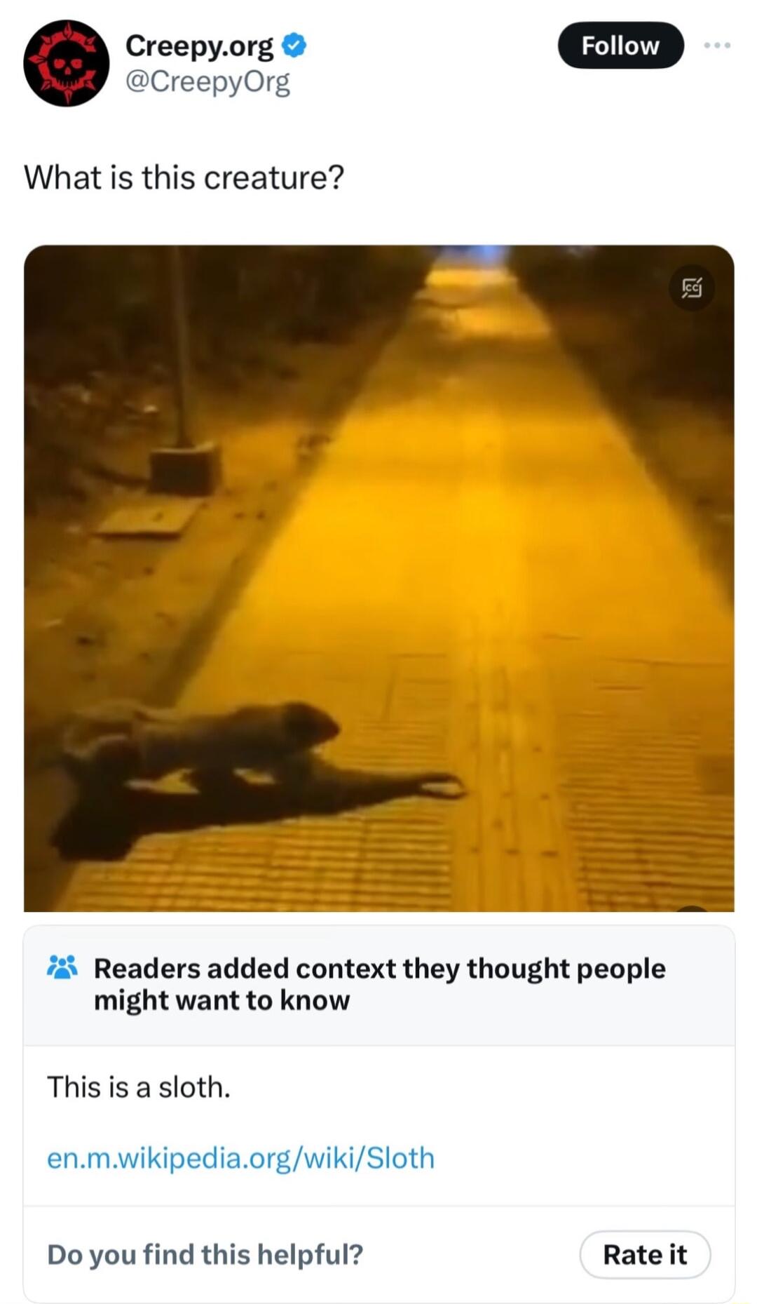 Creepyorg CreepyOrg What is this creature iz Readers added context they thought people might want to know This is a sloth enmwikipediaorgwikiSloth Do you find this helpful Rate it