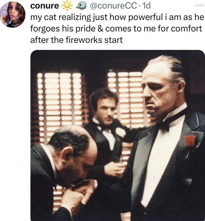 conure eC my cat realizing just how powerfu iamas he forgoes his pride comes to me for comfort after the fireworks start