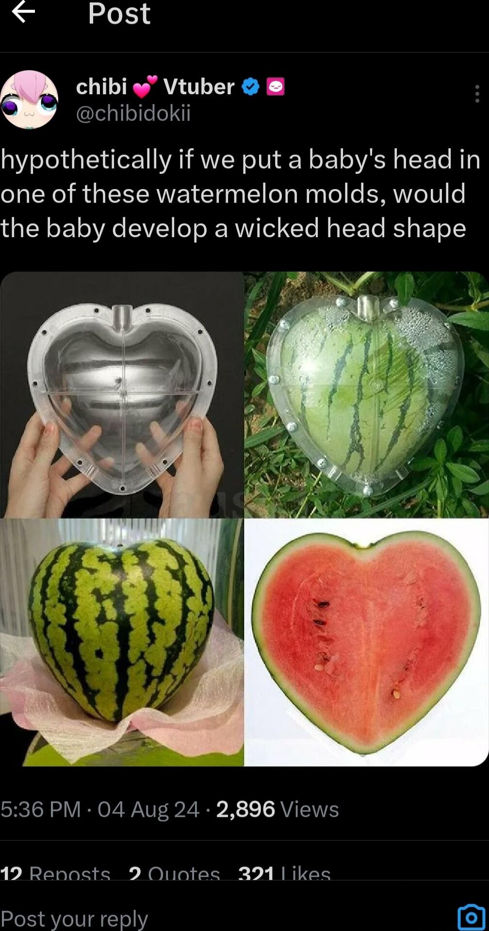 Post chibi Vtuber chibidokii hypothetically if we put a babys head in one of these watermelon molds would the baby develop a wicked head shape 536 PM 04 Aug 24 2896 Views 12 Rennsts 2 Ountes 321 ikes Post your reply