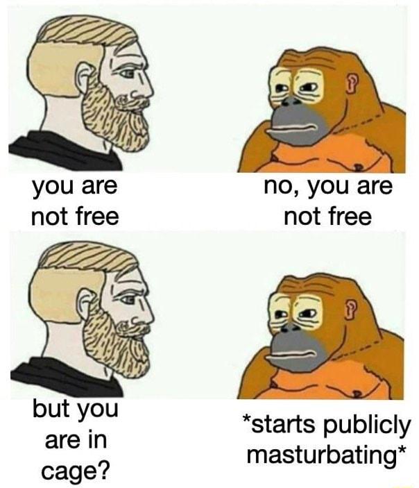 you are no you are not free not free starts publicly masturbating