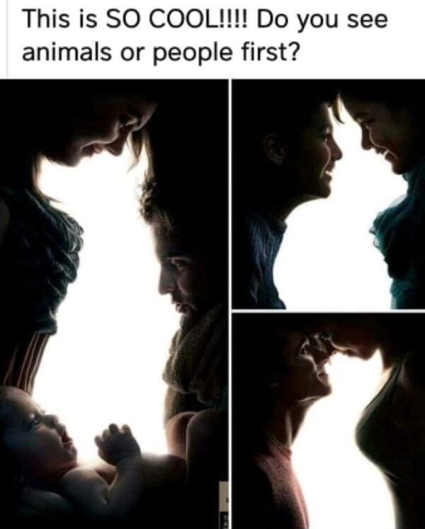 This is SO COOL Do you see animals or people first