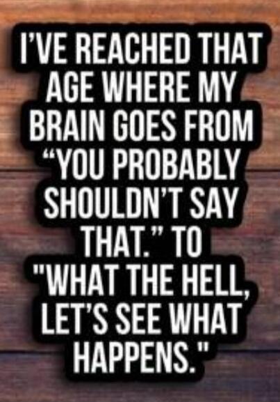 I'VE REACHED THAT AGE WHERE MY BRAIN GOES FROM 