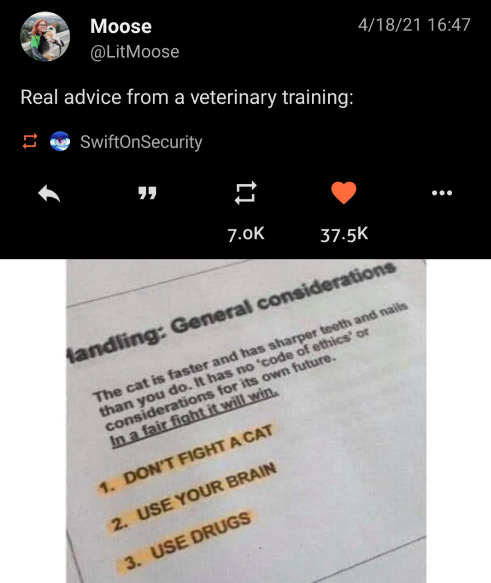 m Moose 41821 1647 M1 eJe 1 Real advice from a veterinary training i SwiftOnSecurity