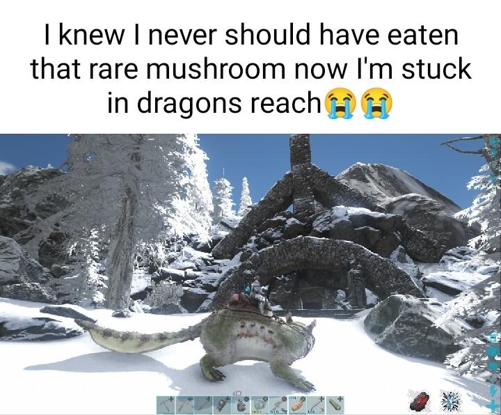 knew never should have eaten that rare mushroom now Im stuck in dragons reach