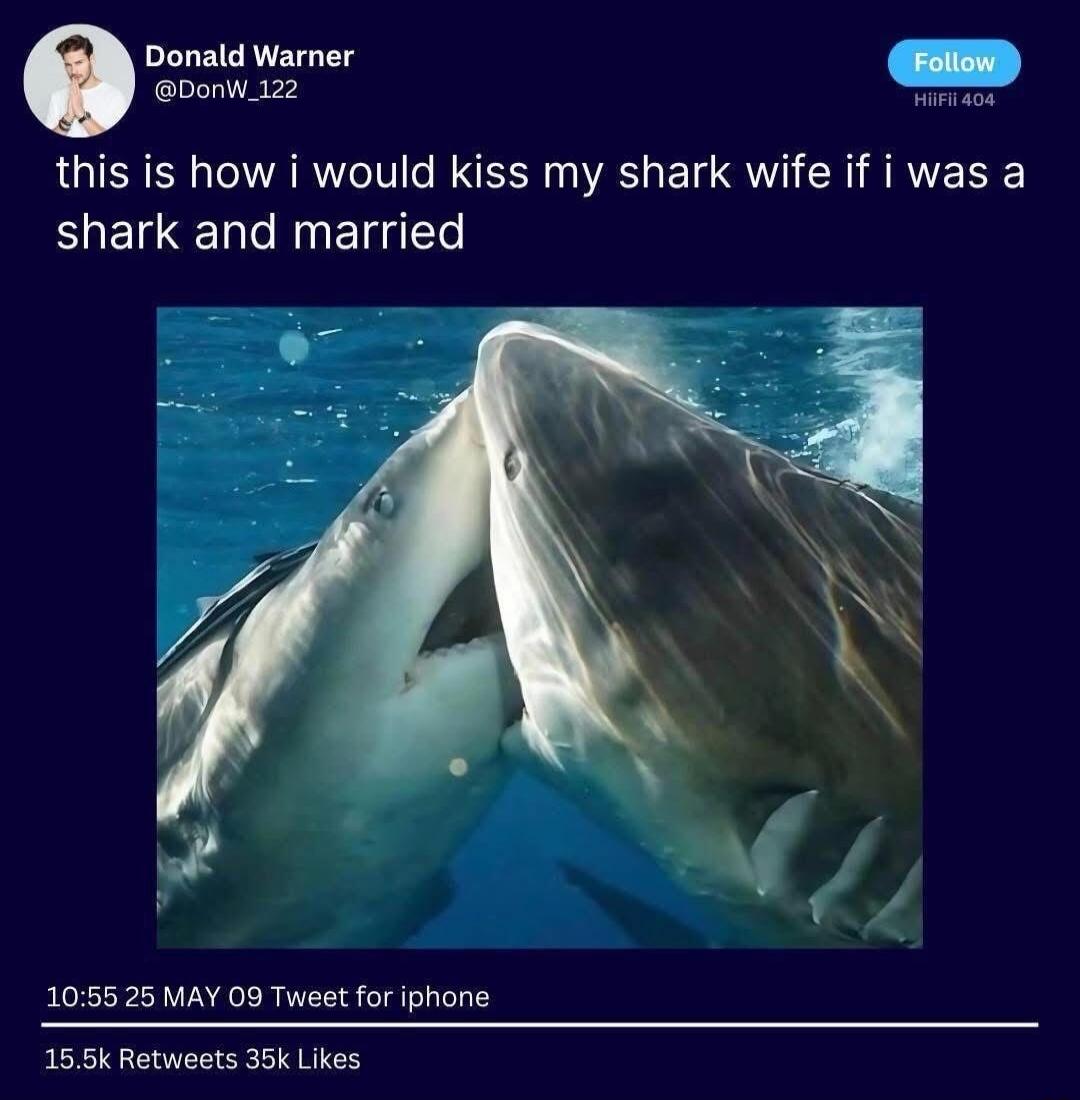 This is how I would kiss my shark wife if I was a shark and married.
