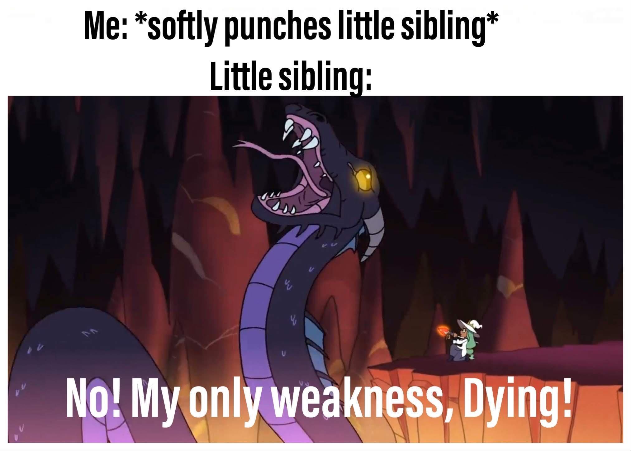 Me softly punches little sibling Little sibling