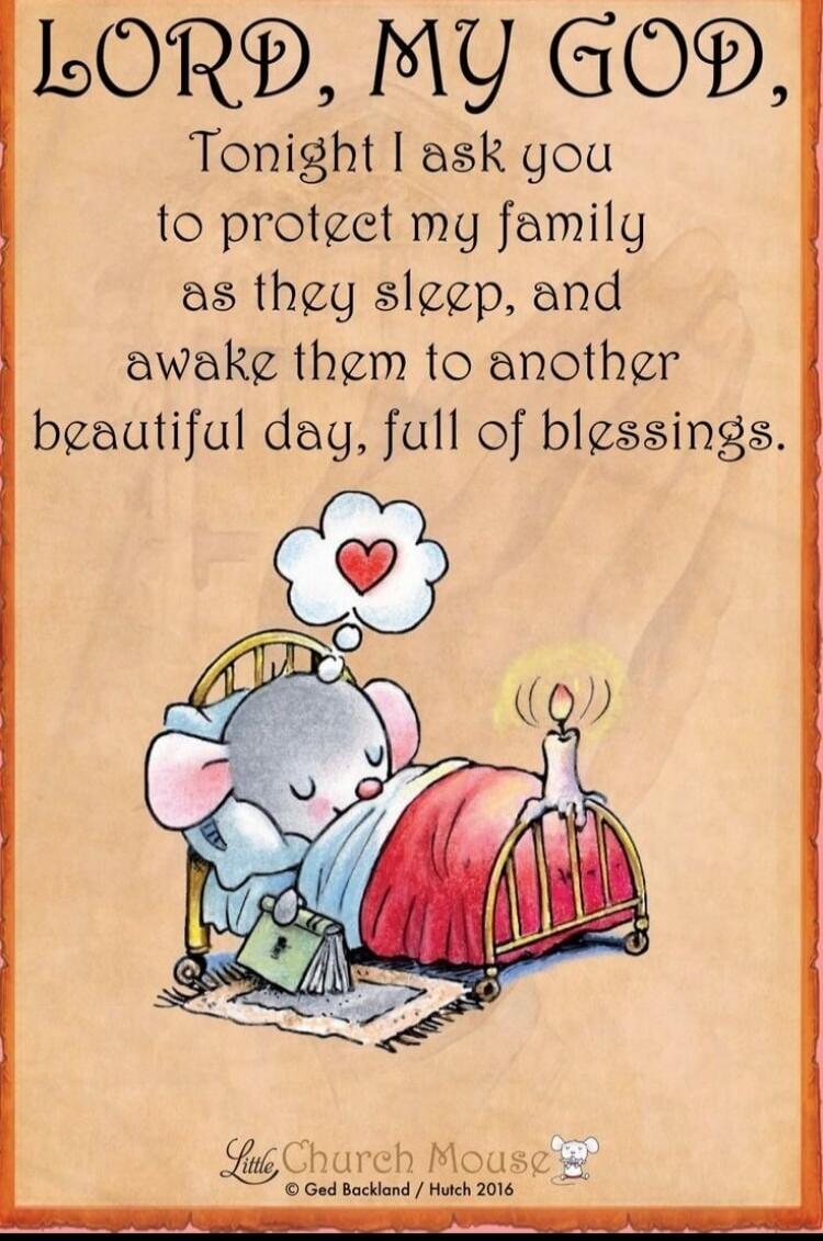 LORD, MY GOD, Tonight I ask you to protect my family as they sleep, and awake them to another beautiful day, full of blessings. Little Church Mouse © Ged Backland / Hutch 2016
