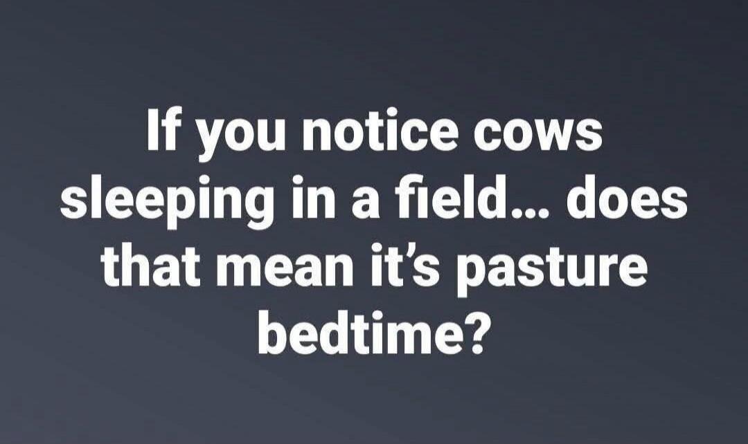 If you notice cows sleeping in a field... does that mean it's pasture bedtime?