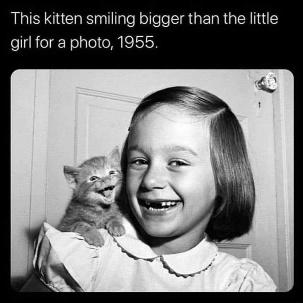 This kitten smiling bigger than the little elReg Nelalel MISISIoN