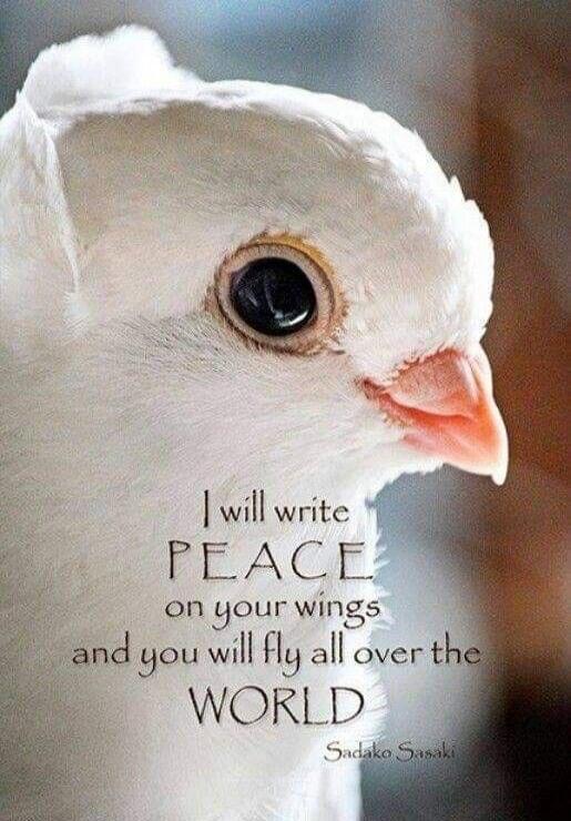 I will write PEACE on your wings and you will fly all over the WORLD Sadako Sasaki