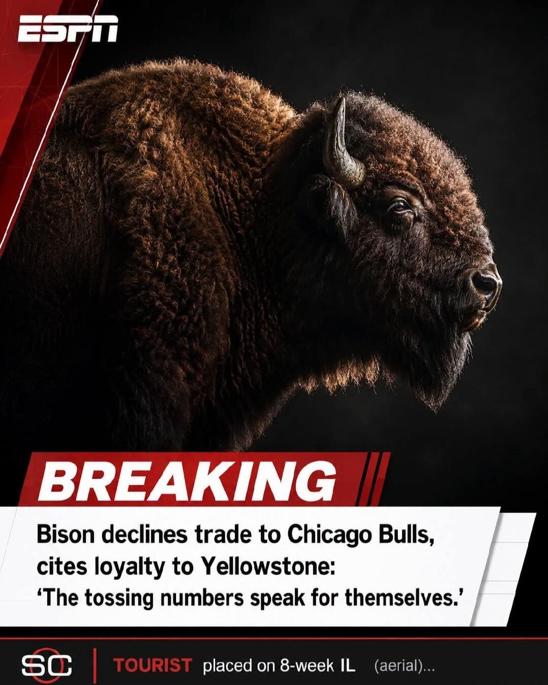 ESPN BREAKING Bison declines trade to Chicago Bulls, cites loyalty to Yellowstone: 'The tossing numbers speak for themselves.' SC TOURIST placed on 8-week IL (aerial)...