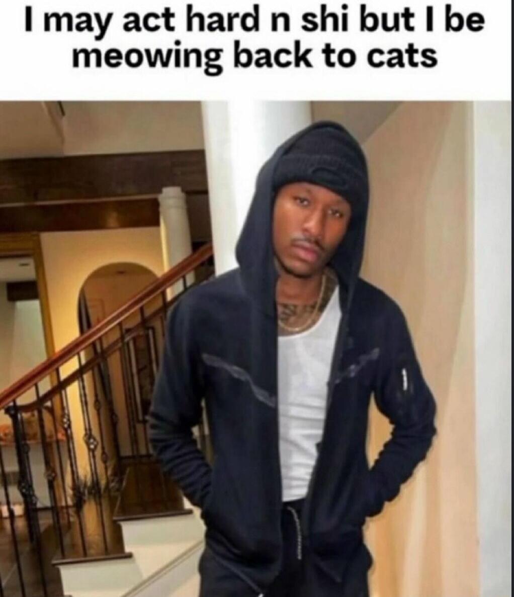 I may act hard n shi but be meowing back to cats