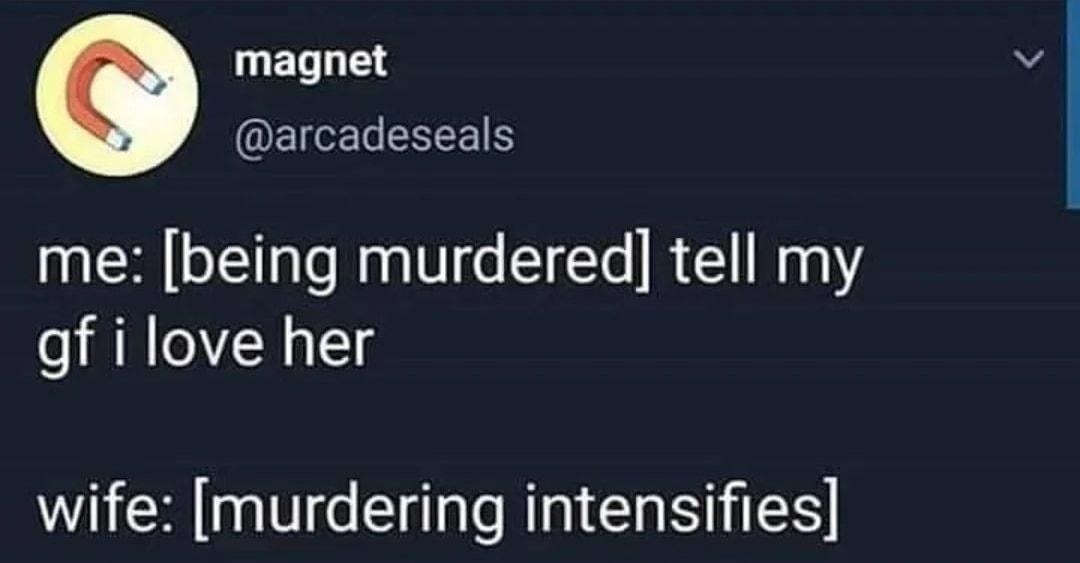 LT EIEREREETS me being murdered tell my gf i love her wife murdering intensifies 2239 30 May 19 Twitter for Android