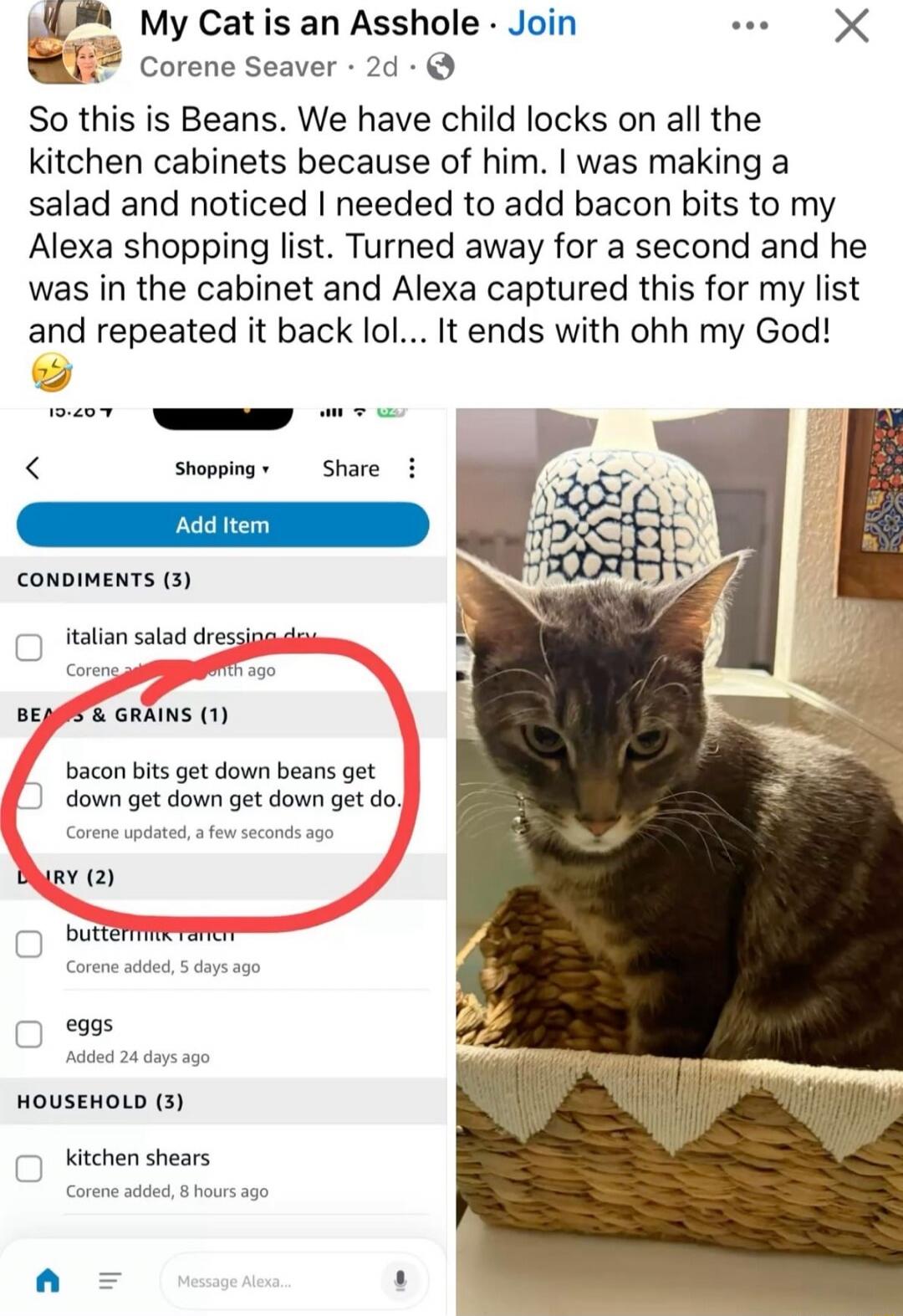 My Cat is an Asshole. So this is Beans. We have child locks on all the kitchen cabinets because of him. I was making a salad and noticed I needed to add bacon bits to my Alexa shopping list. Turned away for a second and he was in the cabinet and Alexa captured this for my list and repeated it back lol... It ends with ohh my God! CONDIMENTS (3) ital