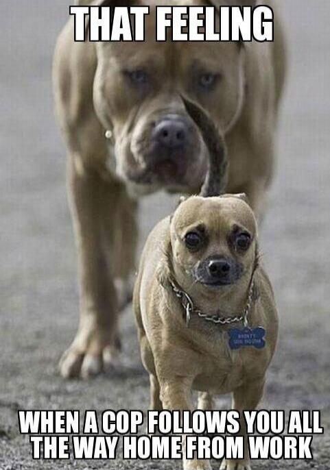 THAT FEELING
WHEN A COP FOLLOWS YOU ALL THE WAY HOME FROM WORK