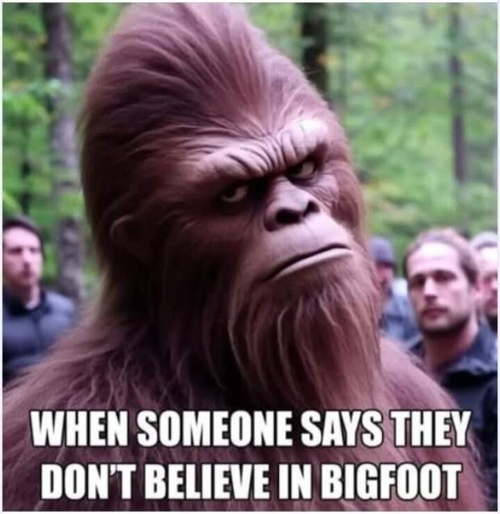WHEN SOMEONE SAYS THEY DON'T BELIEVE IN BIGFOOT
