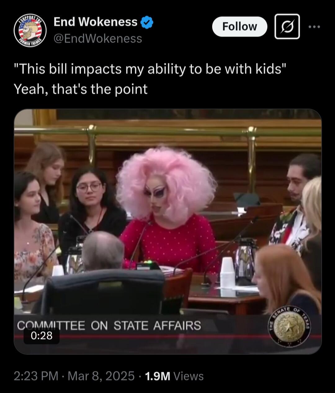 End Wokeness l SGIVATERERS o This bill impacts my ability to be with kids ACELRGEISR TN CngglTEE ON STATE AFFAIRS 223 PM Mar 8 2025 19M Views
