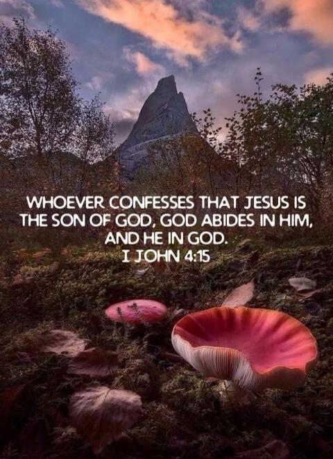 WHOEVER CONFESSES THAT JESUS IS THE SON OF GOD, GOD ABIDES IN HIM, AND HE IN GOD. 1 JOHN 4:15