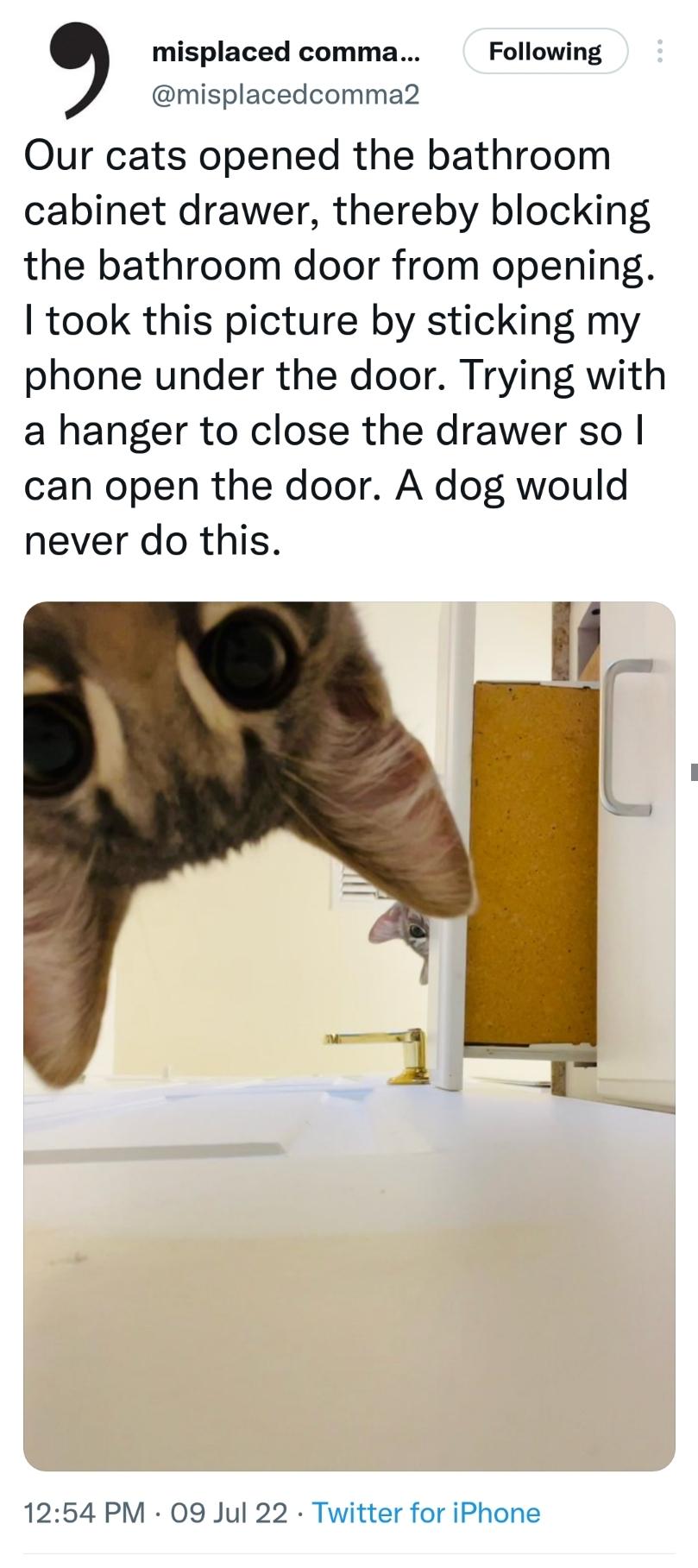 misplaced comma Following misplacedcomma2 Our cats opened the bathroom cabinet drawer thereby blocking the bathroom door from opening took this picture by sticking my phone under the door Trying with a hanger to close the drawer so can open the door A dog would never do this 1254 PM 09 Jul 22 Twitter for iPhone