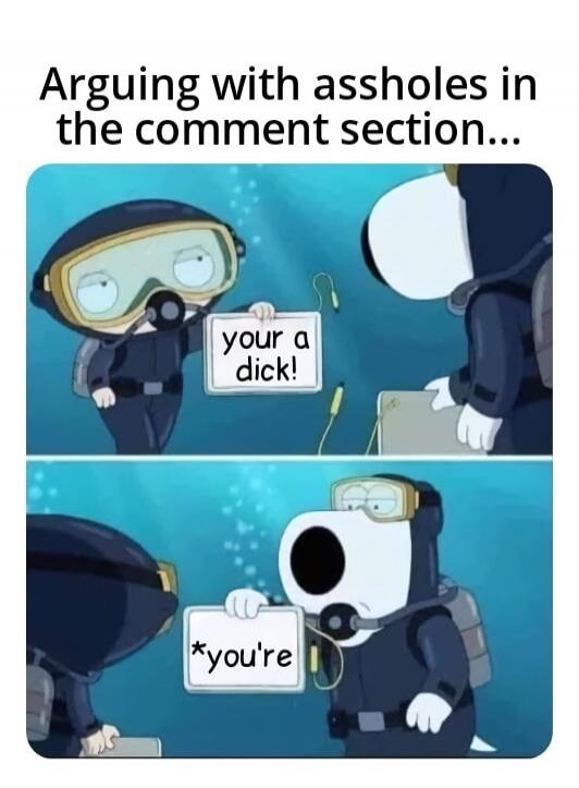 Arguing with assholes in the comment section... A character holds a sign that says 'your a dick!', and another character corrects it with a sign that says '*you're'.