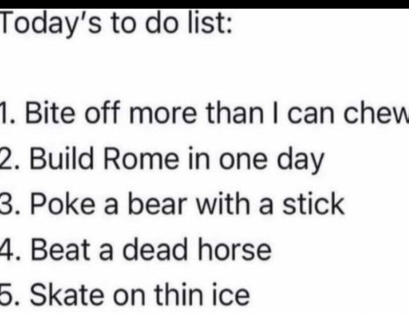 Today's to do list: 1. Bite off more than I can chew 2. Build Rome in one day 3. Poke a bear with a stick 4. Beat a dead horse 5. Skate on thin ice