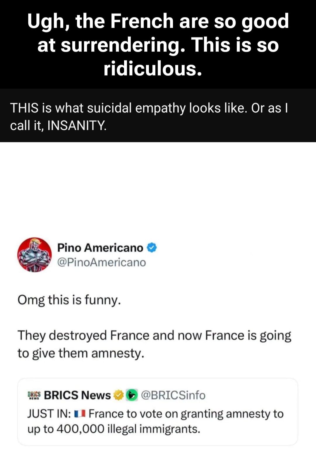 Ugh, the French are so good at surrendering. This is so ridiculous. THIS is what suicidal empathy looks like. Or as I call it, INSANITY. Pino Americano @PinoAmericano Omg this is funny. They destroyed France and now France is going to give them amnesty. BRICS News @BRICSInfo JUST IN: France to vote on granting amnesty to up to 400,000 illegal immig