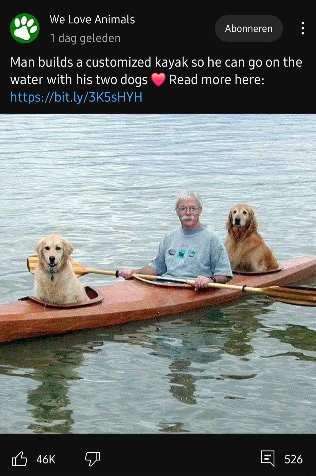 We Love Animals Abonneren 1 dag geleden Man builds a customized kayak so he can go on the water with his two dogs Read more here httpsb 3K5SHYH