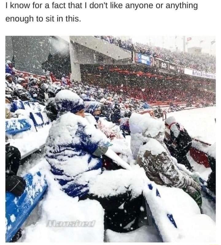 I know for a fact that dont like anyone or anything enough to sit in this
