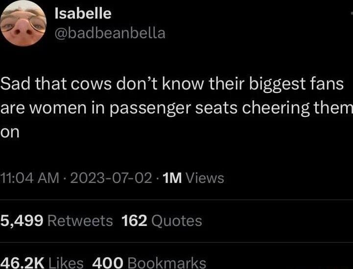 EELLES GLETLEERLENE Sad that cows dont know their biggest fans are women in passenger seats cheering them on 1104 AM 2023 07 02 1M Views L RETWEE O He T N 462K Likes 400 Bookmarks