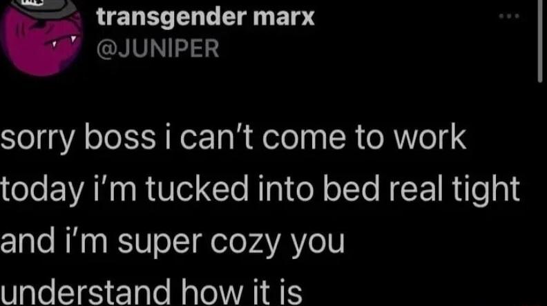 transgender marx v JUNIPER sorry boss i cant come to work today im tucked into bed real tight clalo NN SV oI ole PAYAYeT understand how it is