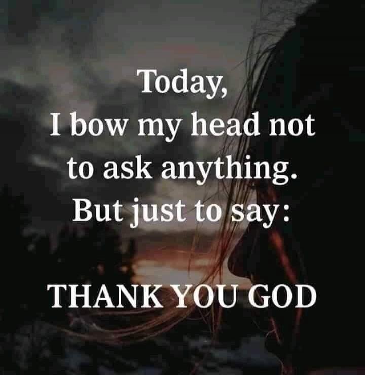 Today, I bow my head not to ask anything. But just to say: THANK YOU GOD