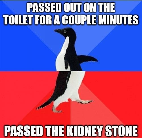 PRSSED OUTON THE TOILETFOR A COUPLE MINUTES A PASSED THE KIDNEY STONE