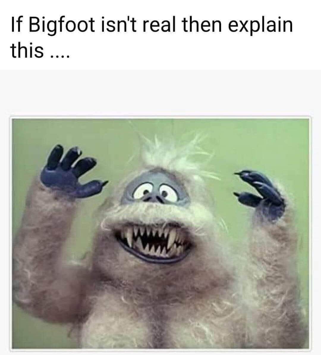 If Bigfoot isn't real then explain this ....