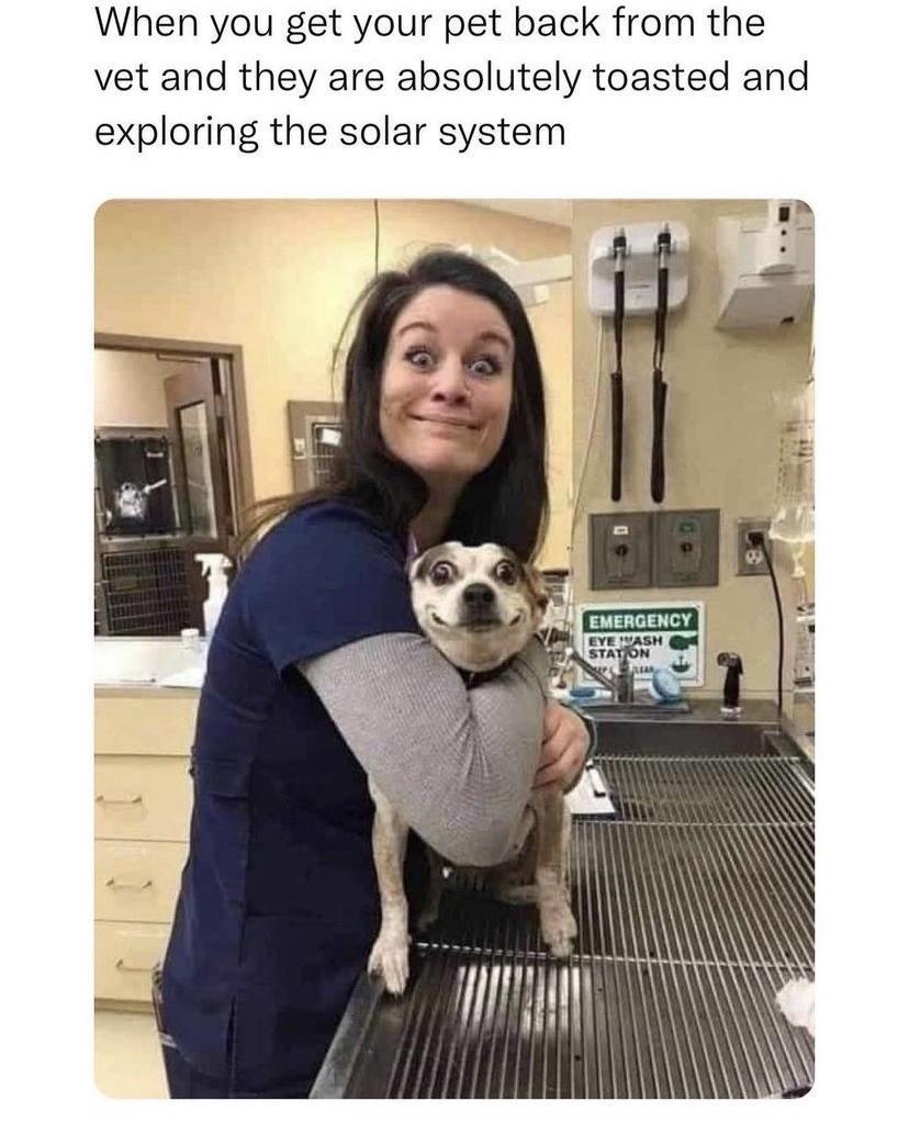 When you get your pet back from the vet and they are absolutely toasted and exploring the solar system i