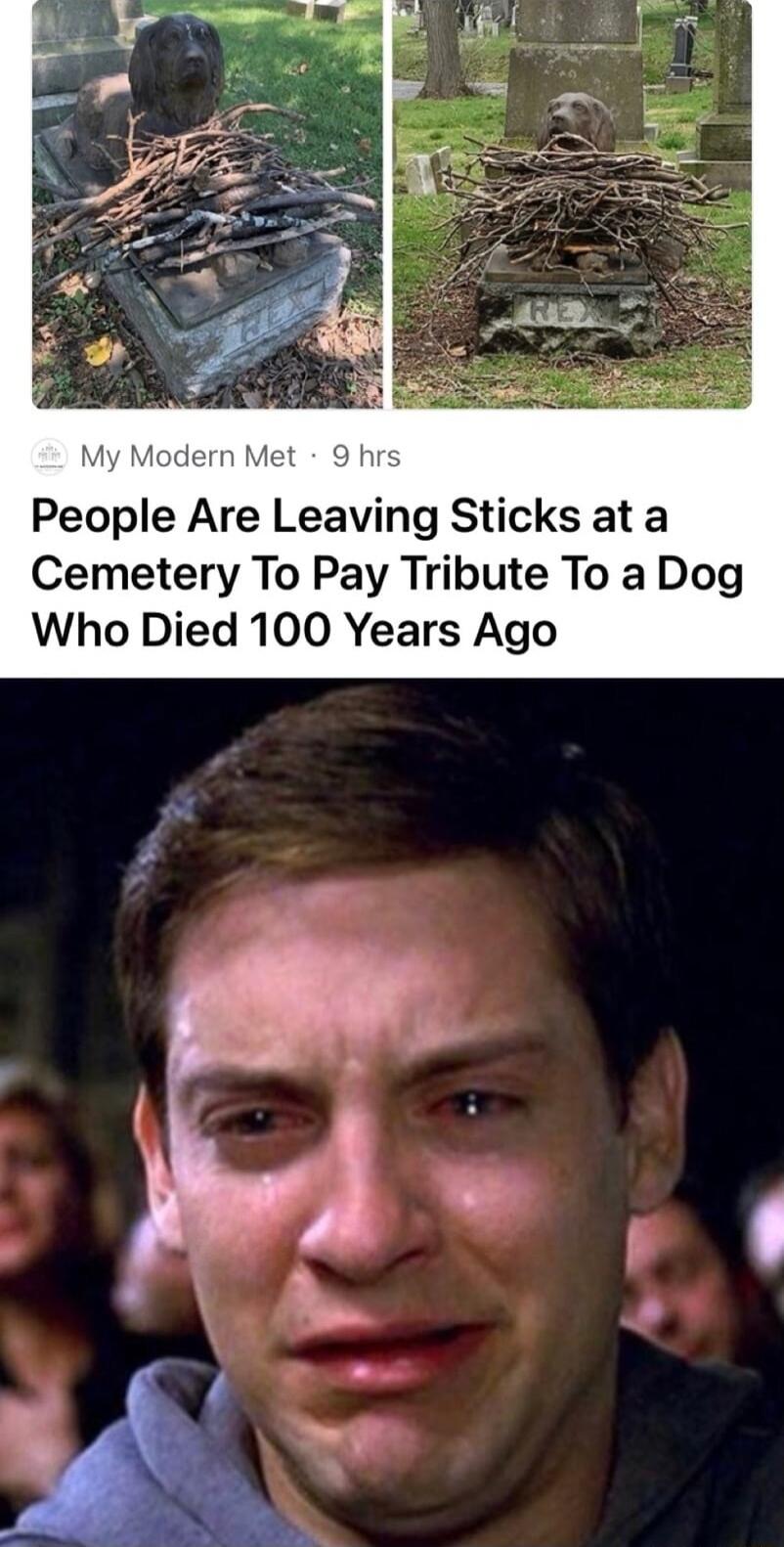 My dern Met People Are Leaving Sticks at a Cemetery To Pay Tribute To a Dog Who Died 100 Years Ago