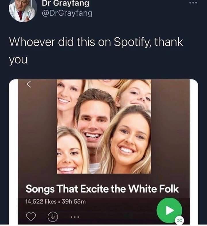 Dr Graytang I e Whoever did this on Spotify thank Yol h A Songs That Excite the White Folk 14522 likes 39h 55m VARO