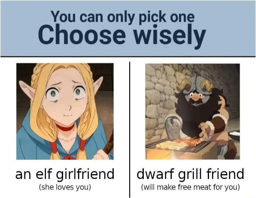 You can only pick one Choose wisely L an elf girlfriend dwarf grill friend she loves you will make free meat for you