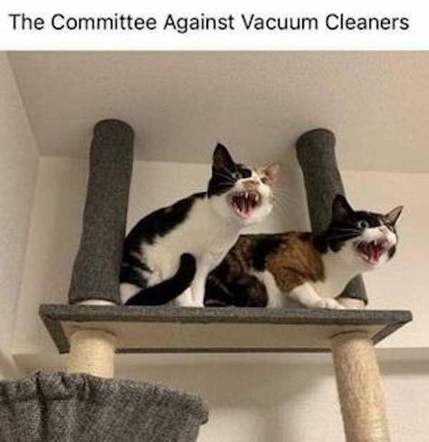The Committee Against Vacuum Cleaners